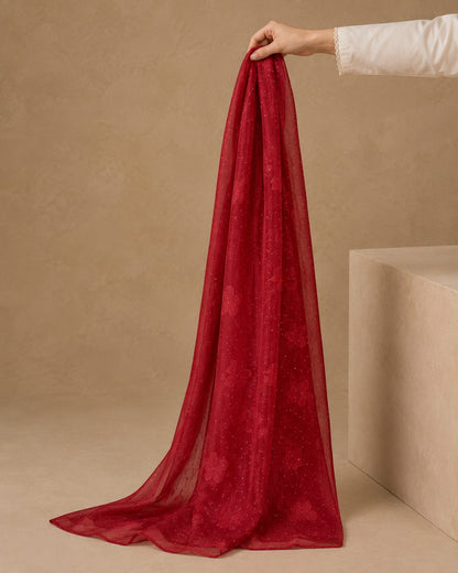 Embroidered Broshia Slub Chiffon 1-Piece Scarf
