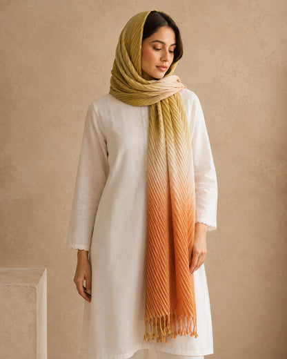 Crinkled Ombre 1 Piece Soft Wool Scarf