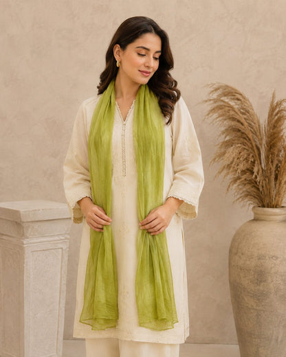 Essential Plain 1 piece lawn Scarf