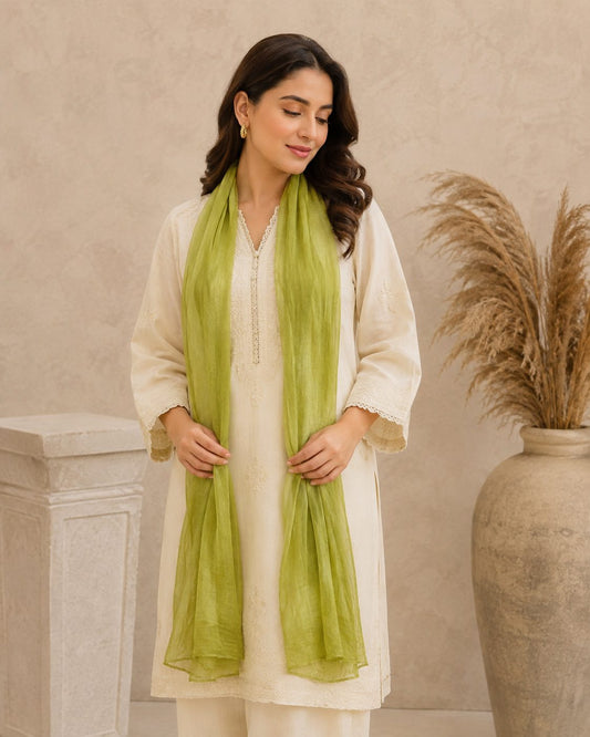 Essential Plain 1 piece lawn Scarf