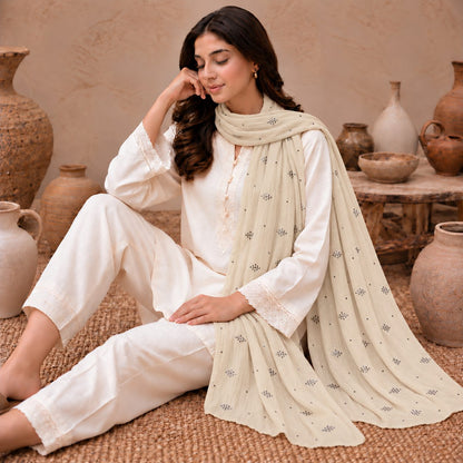 Lustre Mist Embellished Stole